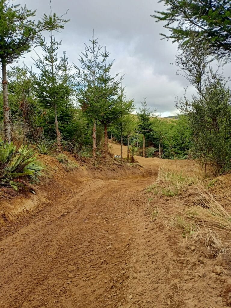 Ice Breaker trail