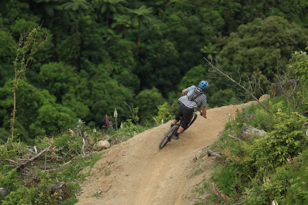 Rider on Rhythm and Vines
