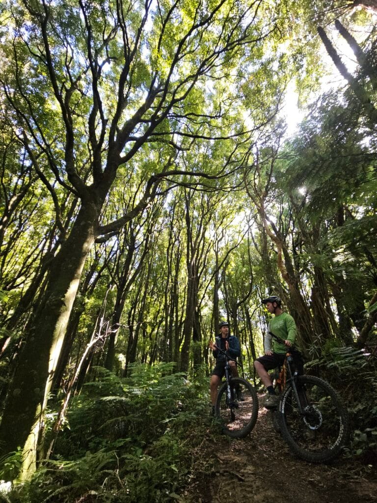 Manawatu Gorge Trail